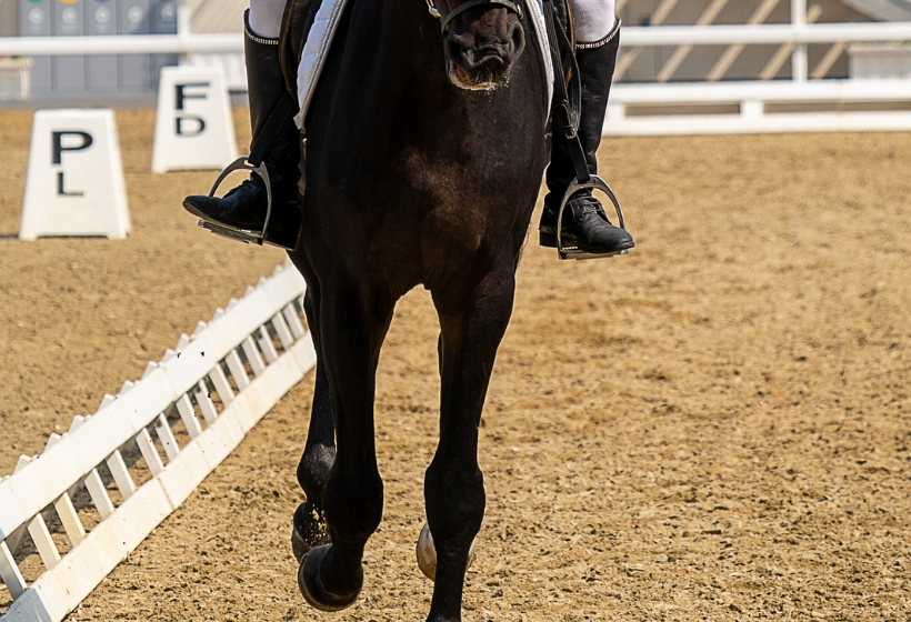 Outdoor Spaces horse footing