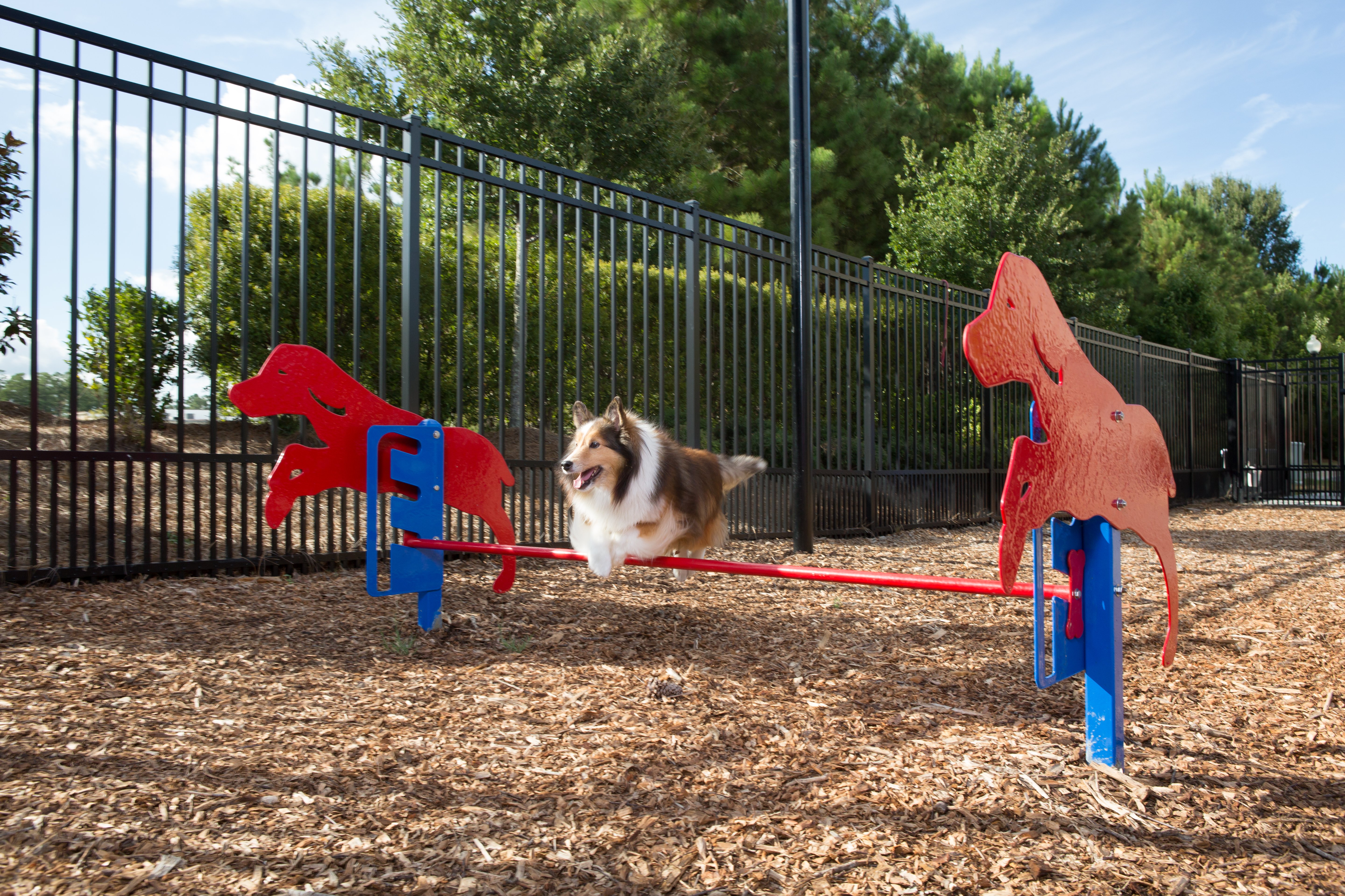 PBARK-450 Rover Jump Over Lifestyle2